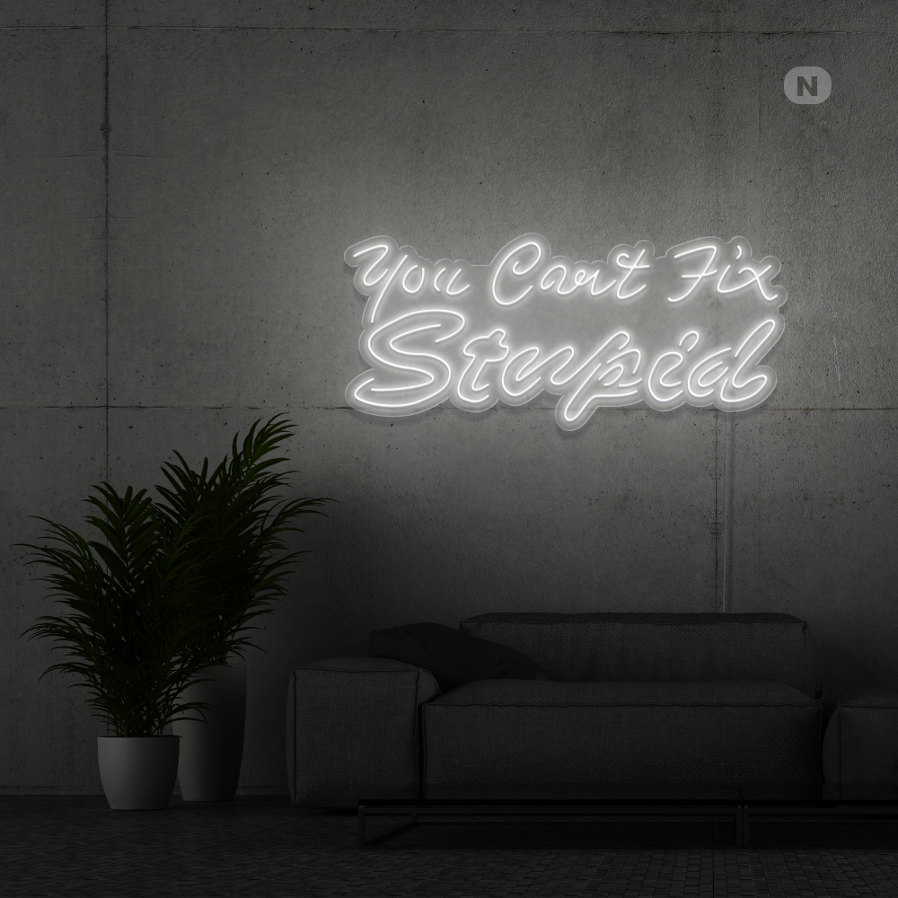 Neonskilt you can't fix stupid